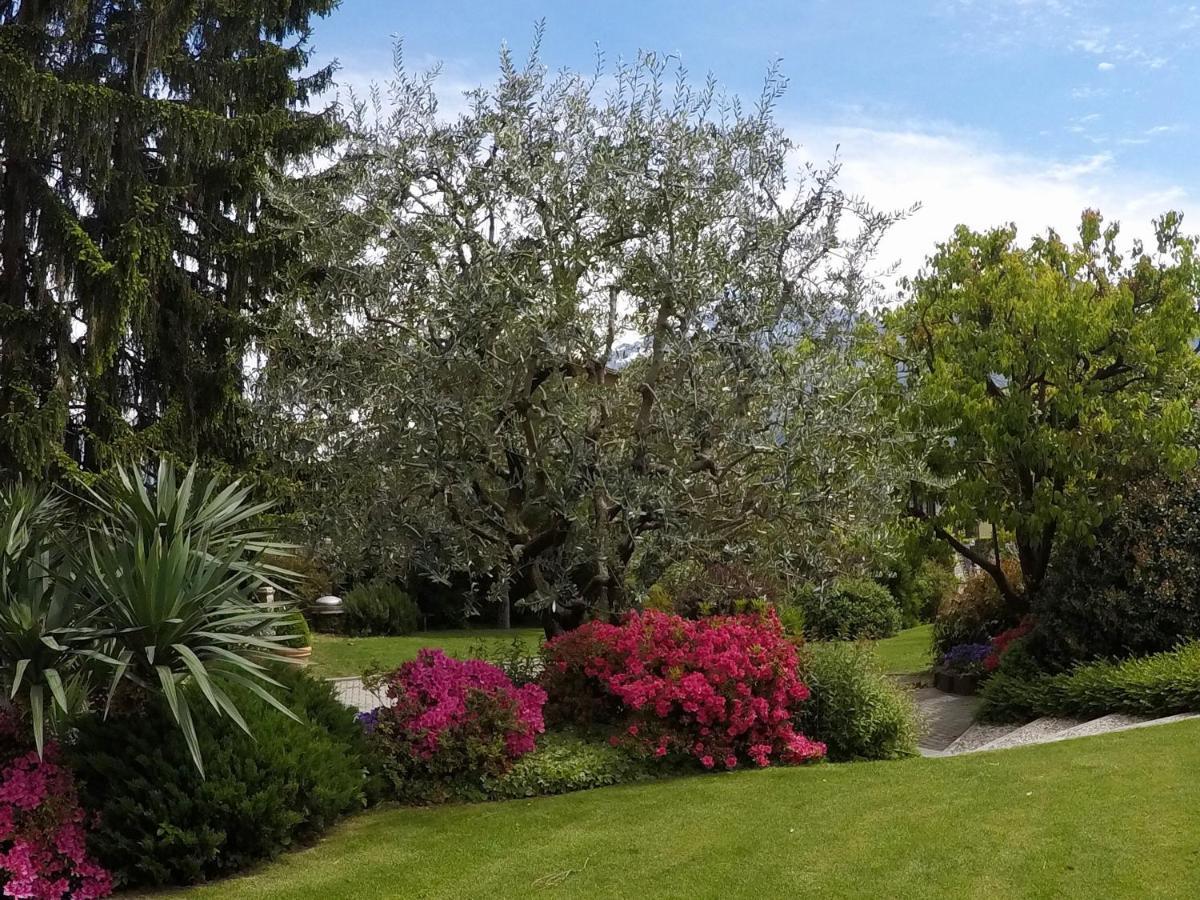 Abies Lago Di Como Dongo Zewnętrze zdjęcie